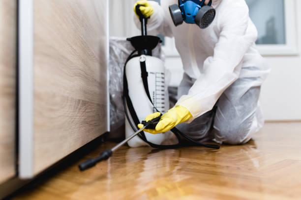 Best Pest Control Near Me  in Bret Harte, CA