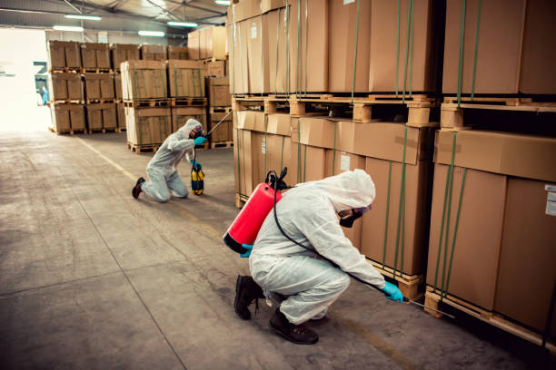 Best Cockroach Control Services  in Bret Harte, CA