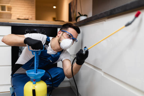 Best Local Pest Control Services  in Bret Harte, CA