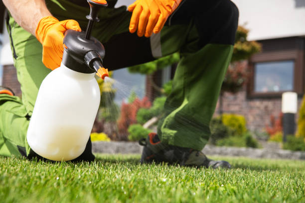 Best Pest Removal Services  in Bret Harte, CA