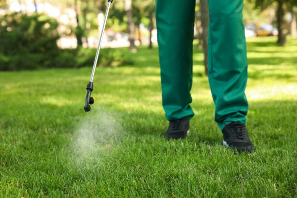 Professional Pest Control in Bret Harte, CA