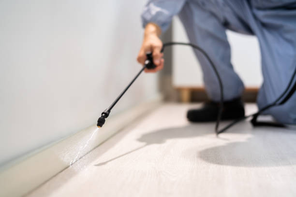 Pest Prevention Services in Bret Harte, CA