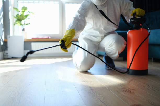 Best Flea Control Services  in Bret Harte, CA