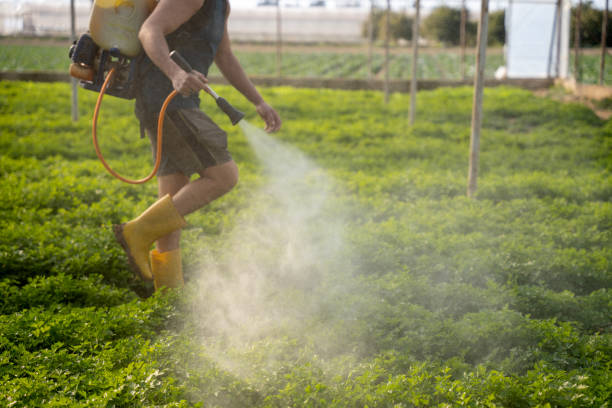 Best Exterminator Services  in Bret Harte, CA