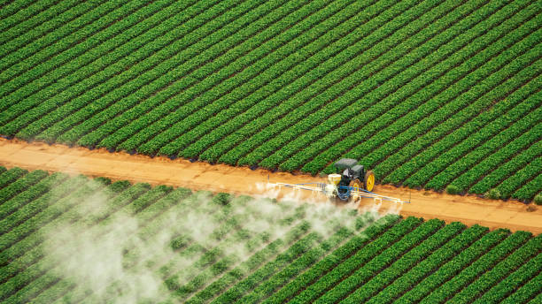 Best Pest Control for Businesses  in Bret Harte, CA