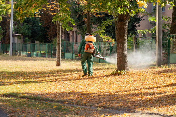 Best Mosquito Control Services  in Bret Harte, CA