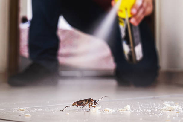 Best Affordable Pest Control Services  in Bret Harte, CA