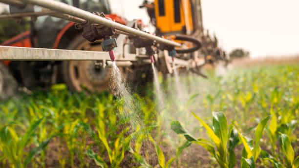 Best Pest Removal Services  in Bret Harte, CA